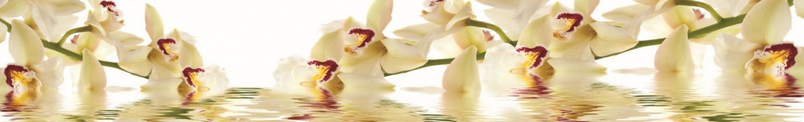 skinali 0985